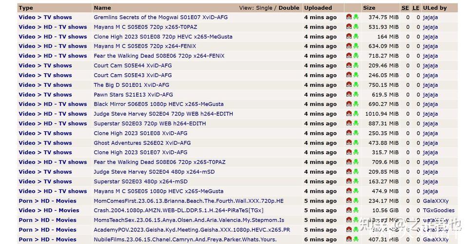 磁力BT种子搜索工具推荐与使用技巧