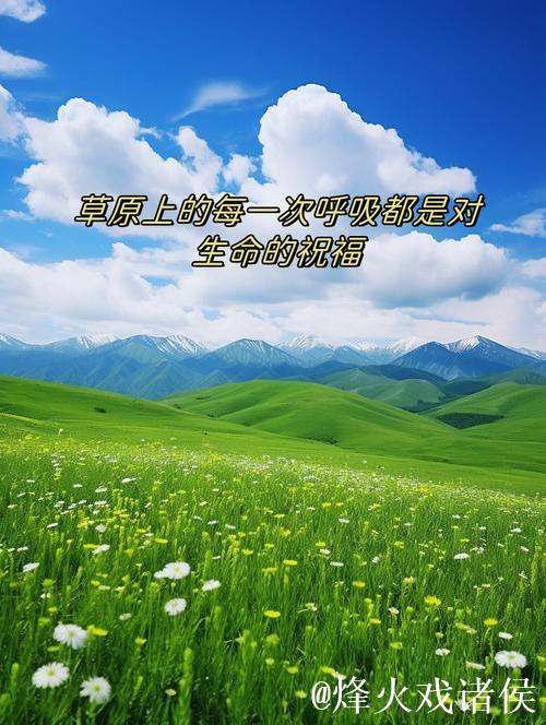 青青草久草:追寻自然与心灵的宁静 青青草久草:追寻自然与心灵的宁静